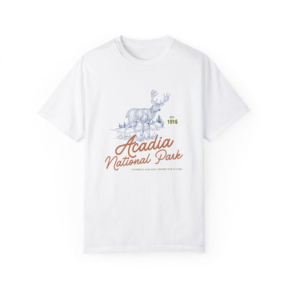 Acadia National Park Comfort Colors Tshirt