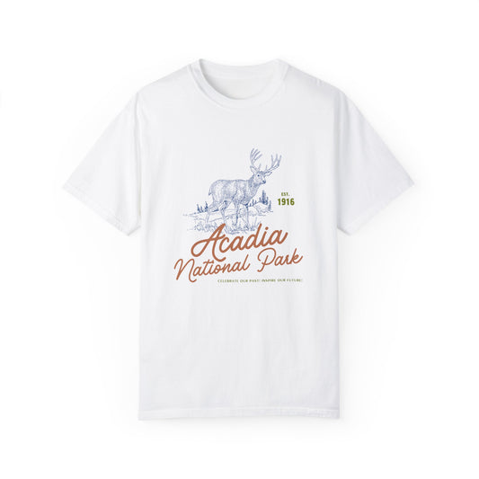 Acadia National Park Comfort Colors Tshirt