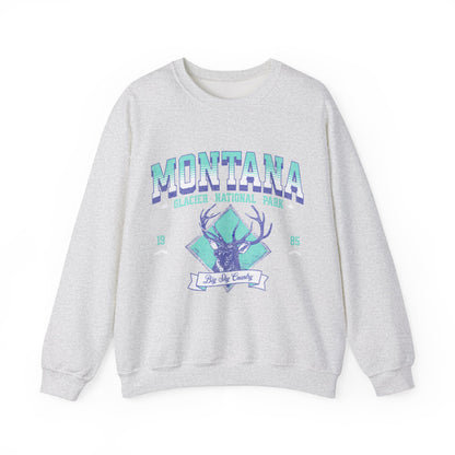 Vintage National Park Crewneck Sweatshirt, Glacier NP Montana, Granola Girl Aesthetic, Outdoorsy GIfts, Park Lover Shirt