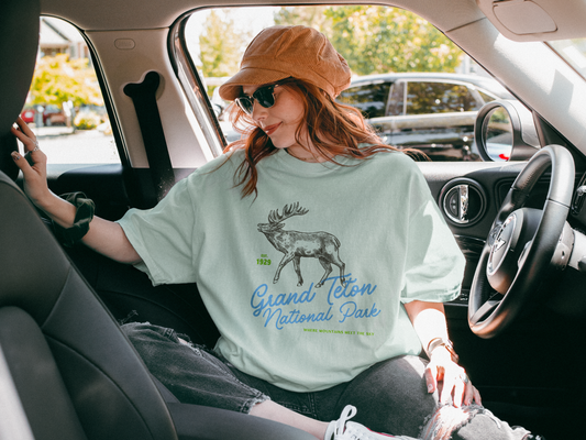 Grand Teton National Park Comfort Colors T-Shirt – Retro Elk Graphic, Relaxed Fit Outdoor Tee